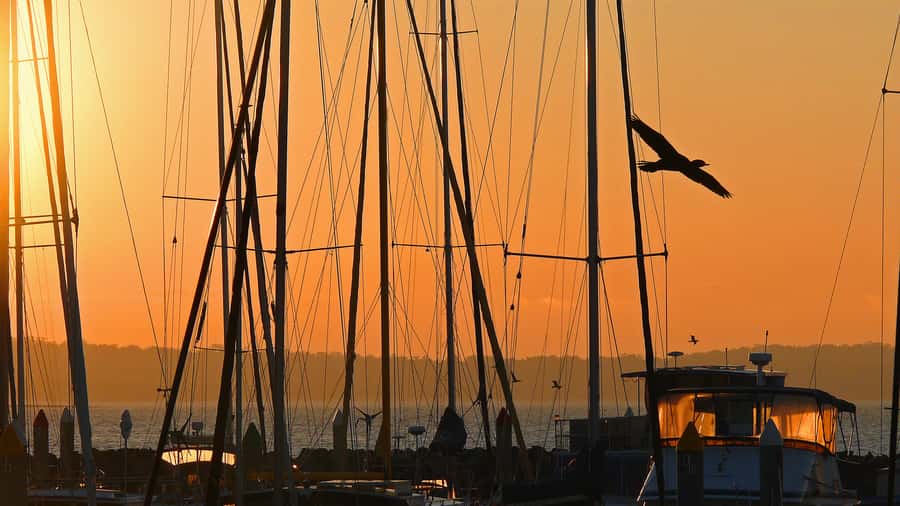 Hervey Bay: Relaxing Sunset Cruise with Champagne and Prawns - Prawns, grazing food, and your included drink
