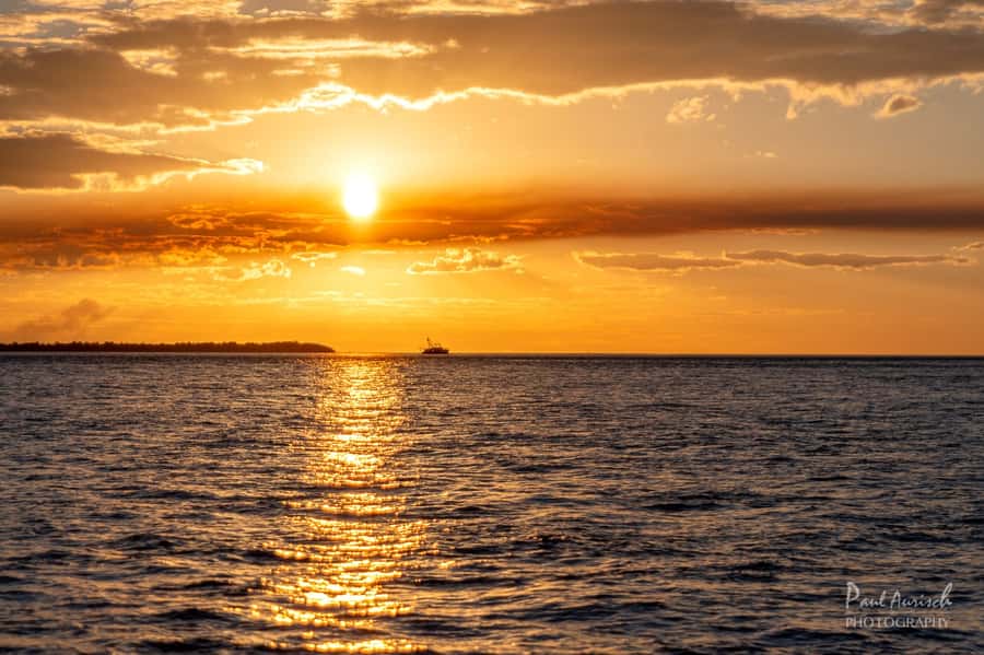 Hervey Bay: Relaxing Sunset Cruise with Champagne and Prawns - Group size, music, and the social mood
