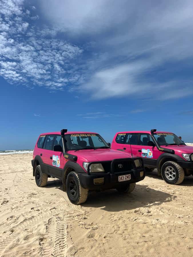 Hervey Bay to K'gari/Fraser Island 2-Day Tour (Beach House) - Key points to know before booking