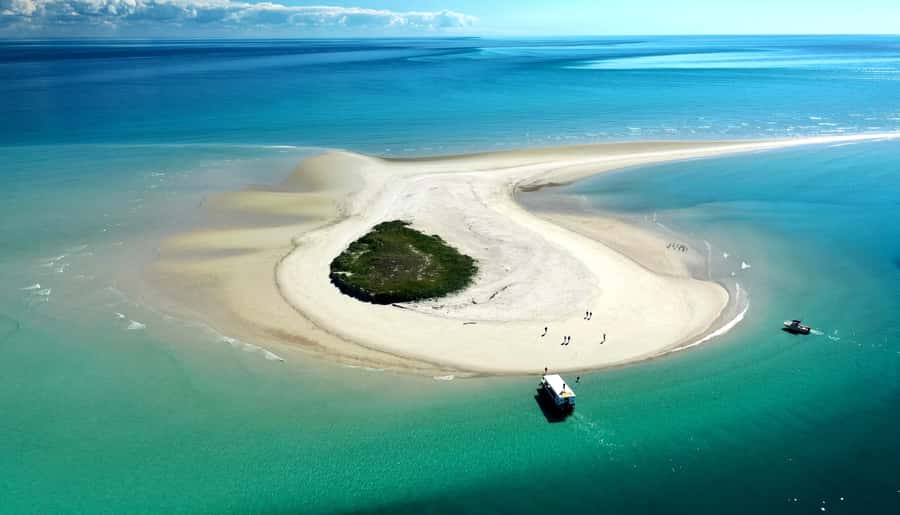 Hervey Bay: Turtle Discovery Eco Tour - A steady glass-bottom boat, not an aquarium