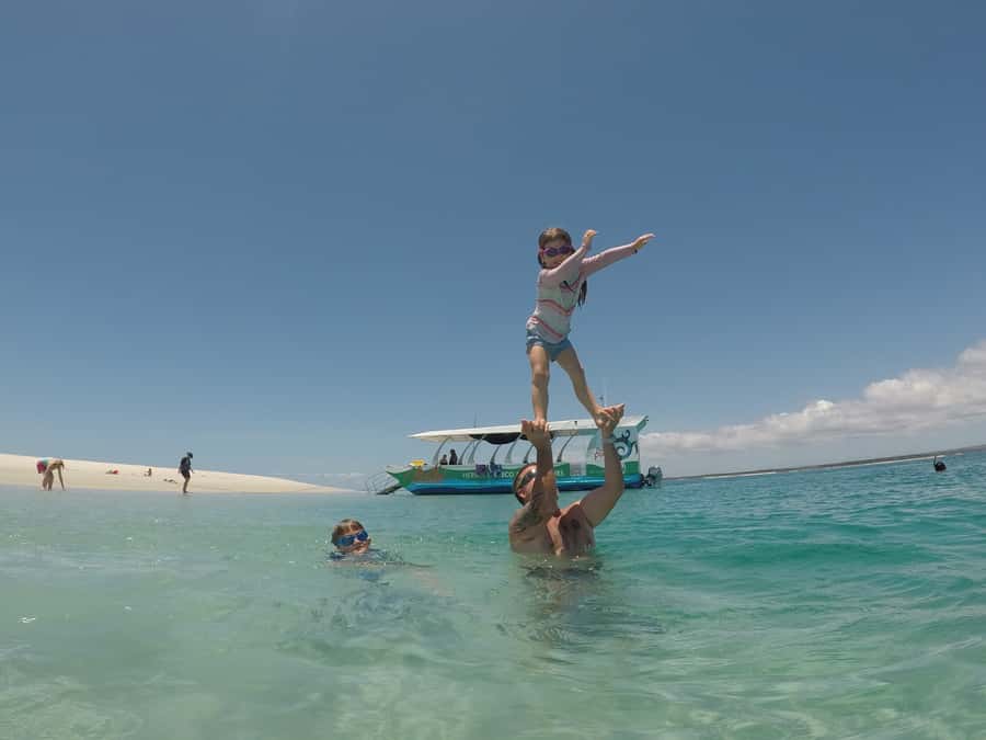 Hervey Bay: Turtle Discovery Eco Tour - Swimming and snorkeling depend on the day