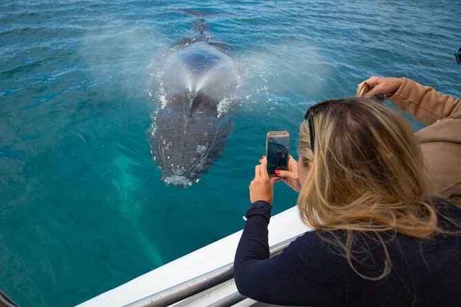 Hervey Bay Ultimate Whale Watching Cruise - What the marine naturalist adds