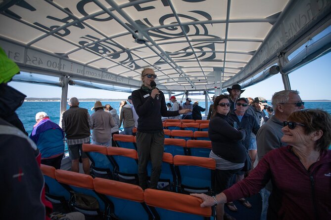 Hervey Bay Ultimate Whale Watching Cruise - Price and what you receive for $85.35