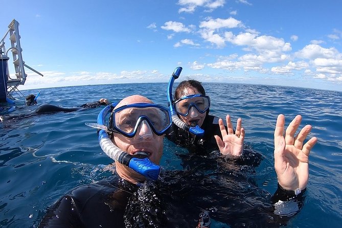 Hervey Bay Whale Swim and Watch - Food, drinks, and the small comforts that matter