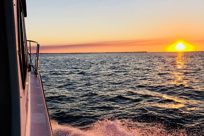 Hervey Bay Whale Swim and Watch - What the six hours feel like