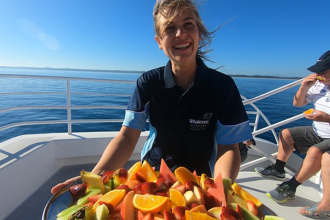 Hervey Bay Whale Watching Experience - Key points to know before you book
