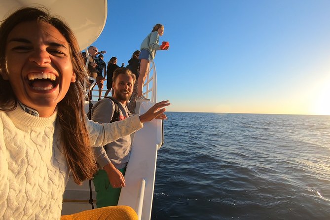 Hervey Bay Whale Watching Experience - Pickup from your Hervey Bay accommodation