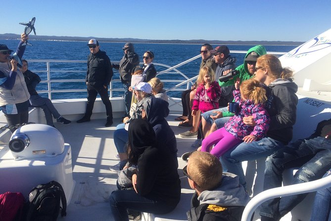 Hervey Bay Whale Watching Experience - What can happen on a less-than-perfect day?