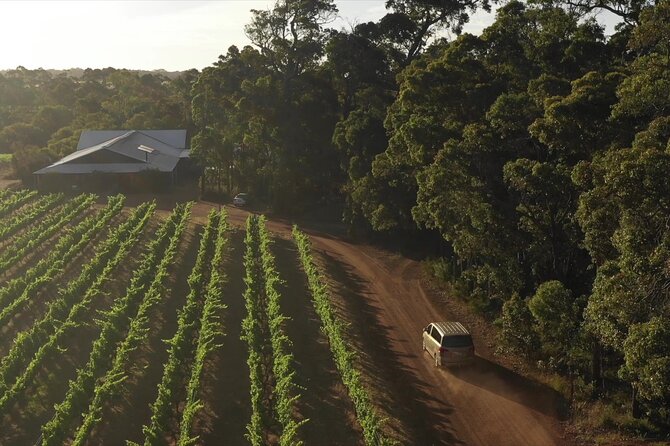 Hidden Gems: Boutique Full-Day Wine, Farm & Lunch Tour - A farm breakfast with alpacas and emus