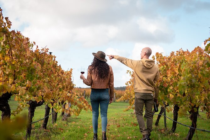 Hidden Gems: Boutique Full-Day Wine, Farm & Lunch Tour - Ashbrook Estate begins the wine program