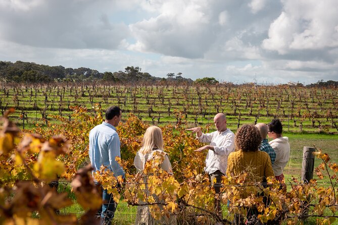 Hidden Gems: Boutique Full-Day Wine, Farm & Lunch Tour - Temper Temper brings chocolate, coffee, and tea