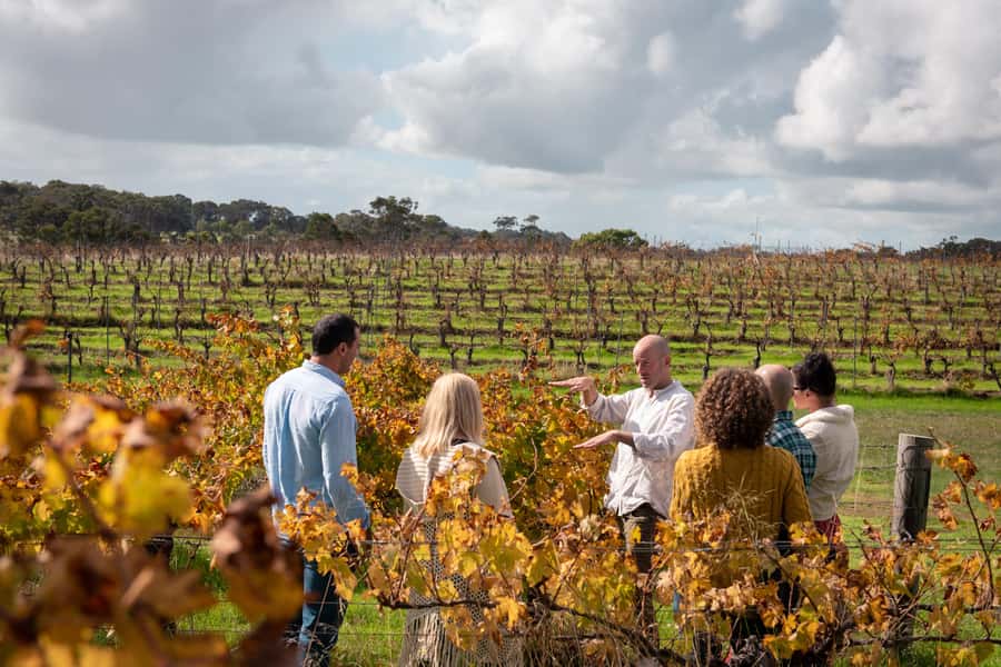 Hidden Gems Margaret River: Authentic Wine & Farm Experience - A Seven-Hour Day Built Around Margaret River Produce