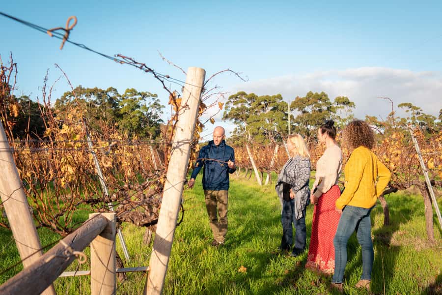 Hidden Gems Margaret River: Authentic Wine & Farm Experience - Should You Book the Margaret River Hidden Gems Tour?