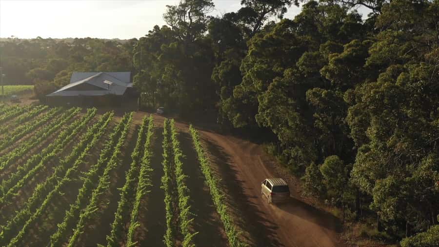 Hidden Gems Margaret River: Authentic Wine & Farm Experience - Olive Farm Lunch With Oils Made On Site
