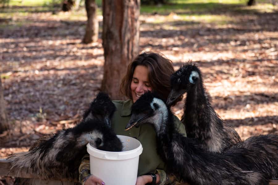 Hidden Gems Margaret River: Authentic Wine & Farm Experience - Who Will Enjoy This Tour Most