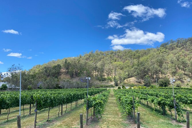 Hinterland Heritage Wine Tour - Mount Nathan Winery and the honey wine stop