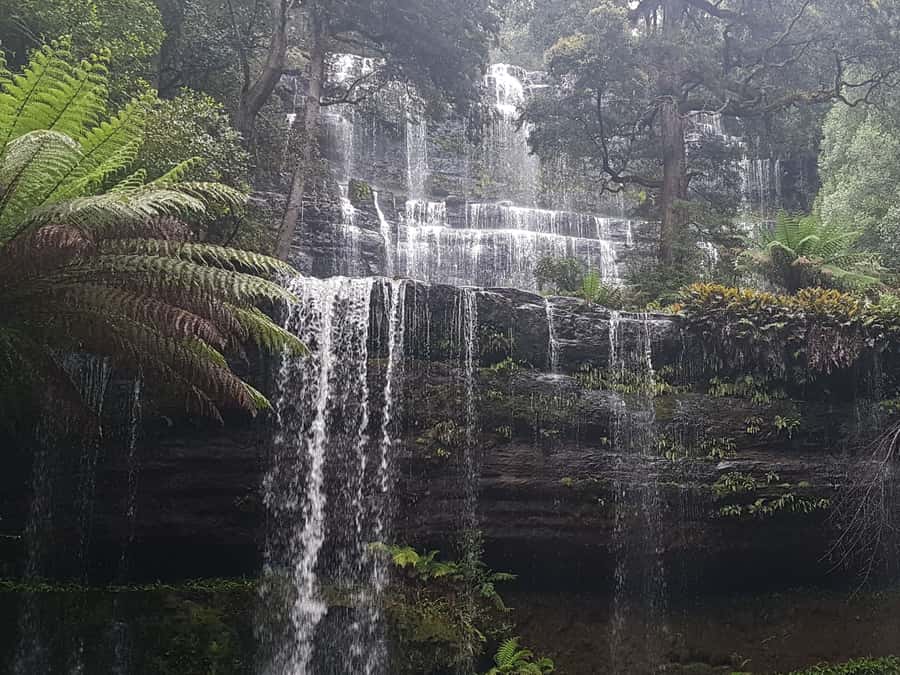 Hobart: 4 Day Wild Tasmania Tour - Key points to know before booking