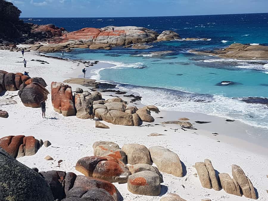 Hobart: 4 Day Wild Tasmania Tour - A fast, scenic circuit from Hobart