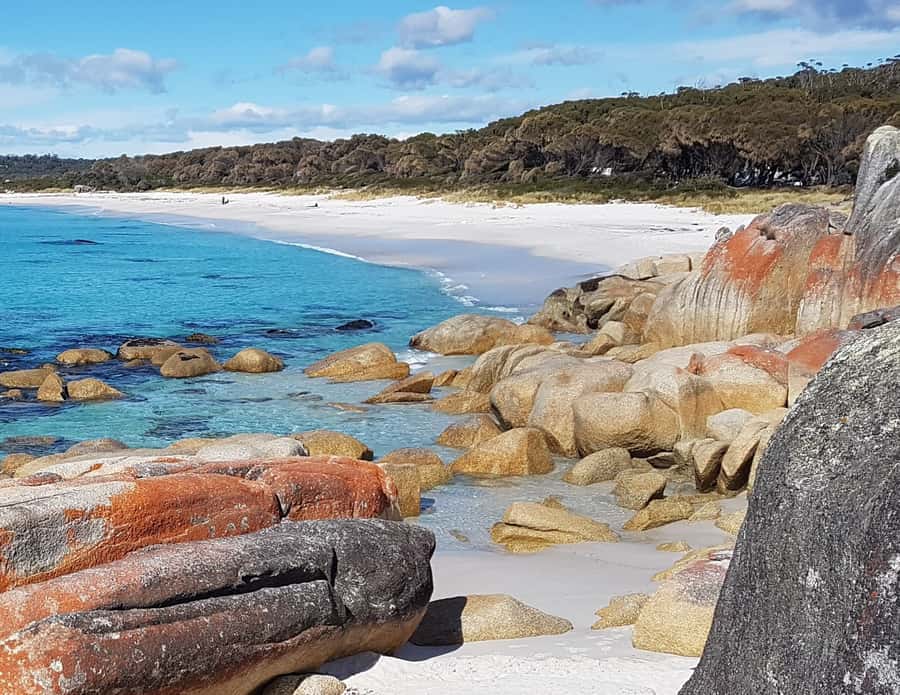 Hobart: 4 Day Wild Tasmania Tour - Bay of Fires, orange rocks, and open beaches
