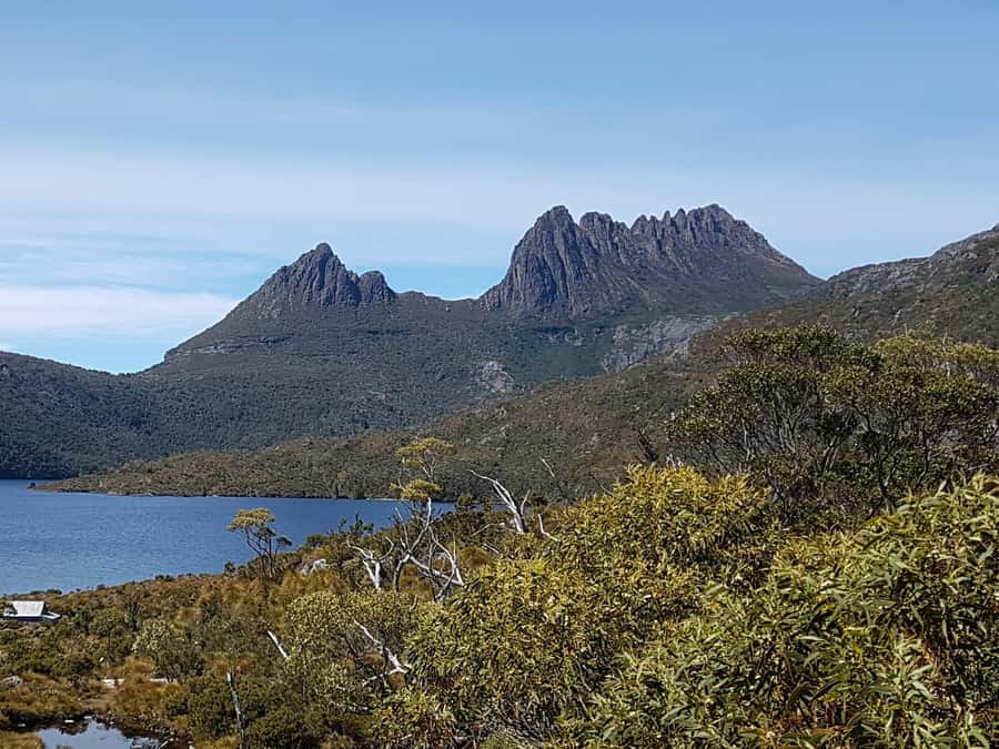 Hobart: 4 Day Wild Tasmania Tour - Russell Falls and the forested beginning