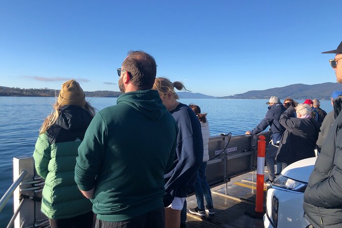 Hobart: Bruny Island Adventure: Hiking, Highlights & Local tastes - Get Shucked and the final oyster stop