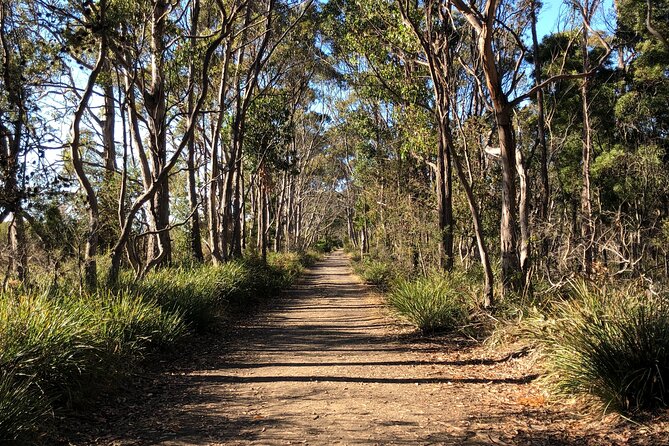 Hobart: Bruny Island Adventure: Hiking, Highlights & Local tastes - Is $118.35 good value?