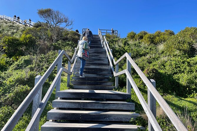Hobart: Bruny Island Adventure: Hiking, Highlights & Local tastes - The Neck and 279 steps to Truganini Lookout