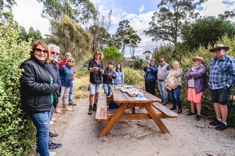 Hobart: Bruny Island Food, Sightseeing & Lighthouse Day Tour - The Neck and 279 stairs to Truganini Lookout