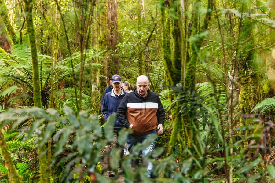 Hobart: Bruny Island Gourmet Sightseeing Day Tour - Key points to know before booking