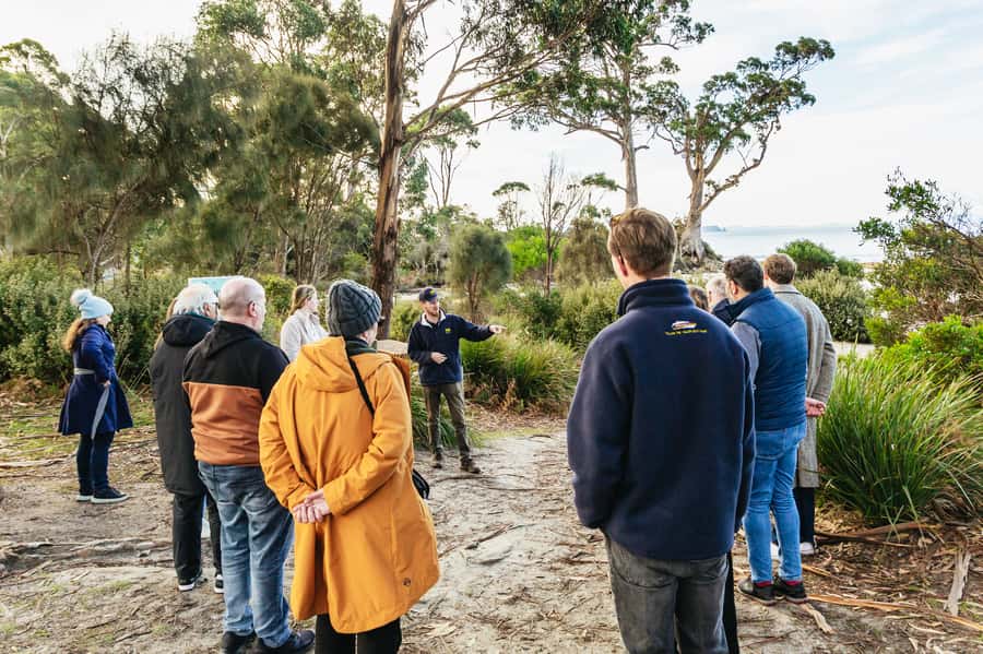 Hobart: Bruny Island Gourmet Sightseeing Day Tour - Why Bruny Island works as a full-day outing