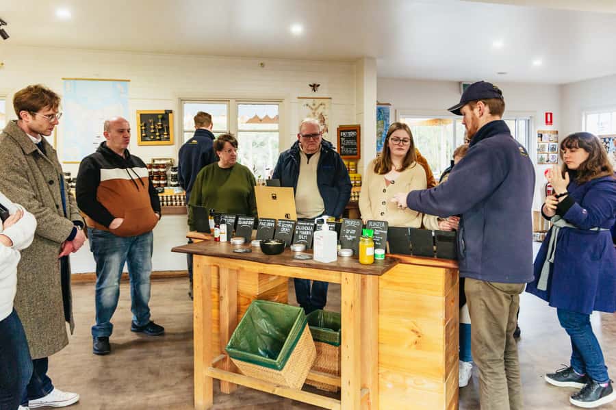 Hobart: Bruny Island Gourmet Sightseeing Day Tour - Beaches, rainforest, and southern Bruny