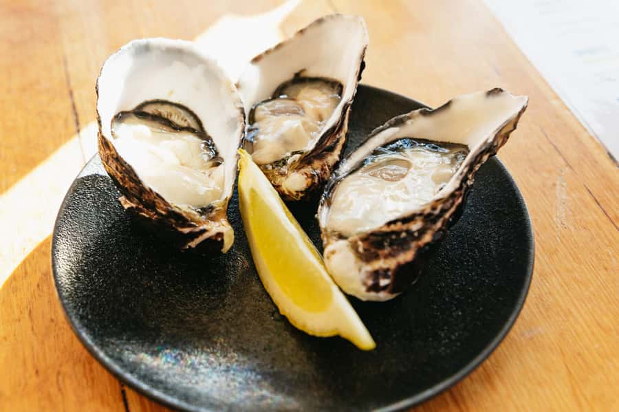 Hobart: Bruny Island Gourmet Sightseeing Day Tour - The Bligh Museum and Bruny’s past