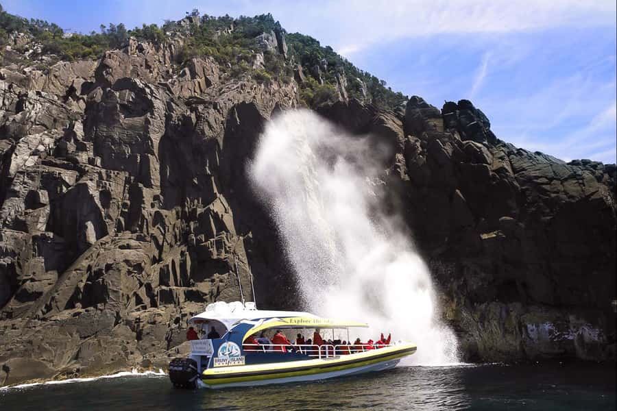 Hobart: Bruny Island Wilderness Coast Eco Cruise with Lunch - Sea cliffs, caves, and Breathing Rock