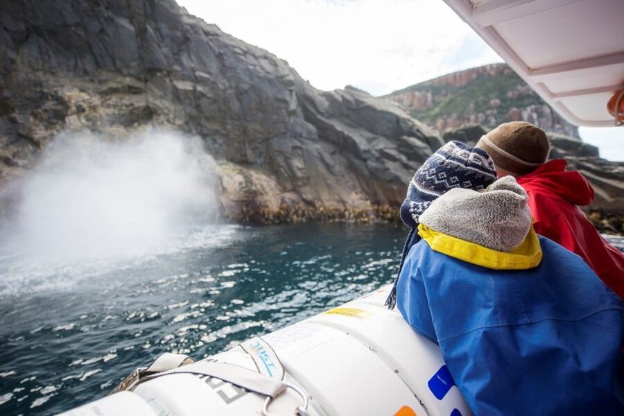 Hobart: Bruny Island Wilderness Coast Eco Cruise with Lunch - Who should book this Bruny Island day trip?
