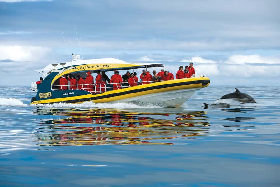 Hobart: Bruny Island Wilderness Coast Eco Cruise with Lunch - Crossing to Bruny Island by ferry