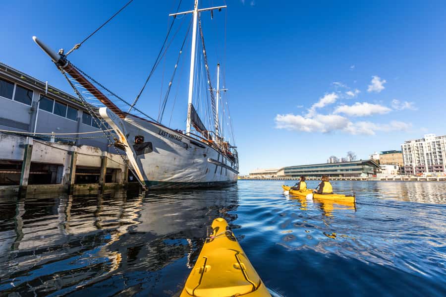 Hobart City 2.5-Hour Kayak Tour - Booking details that affect your day