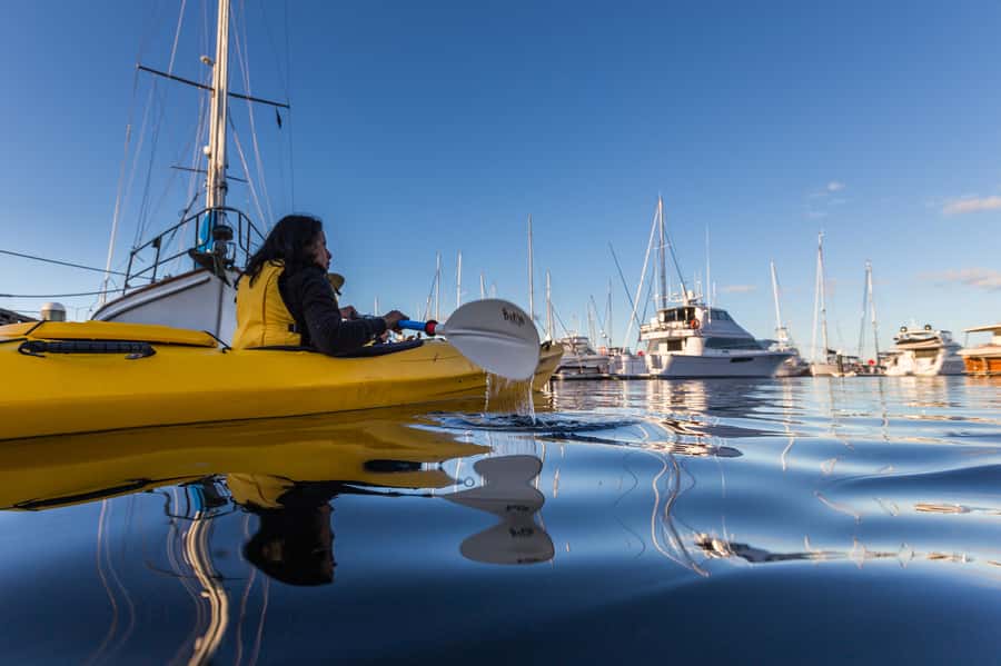 Hobart City 2.5-Hour Kayak Tour - Should you book the Hobart kayak tour?