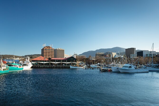 Hobart City Sightseeing Tour including MONA Admission - Why this Hobart combination works