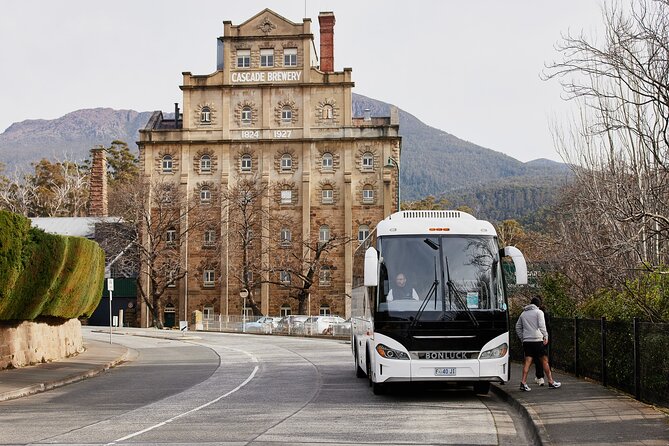 Hobart City Sightseeing Tour including MONA Admission - What the guides add to the day