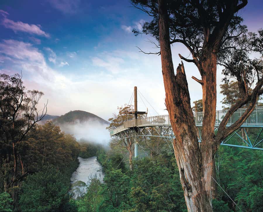 Hobart: Hastings Cave, Tahune Airwalk and Huon Tasting Trail - Key points to know before booking