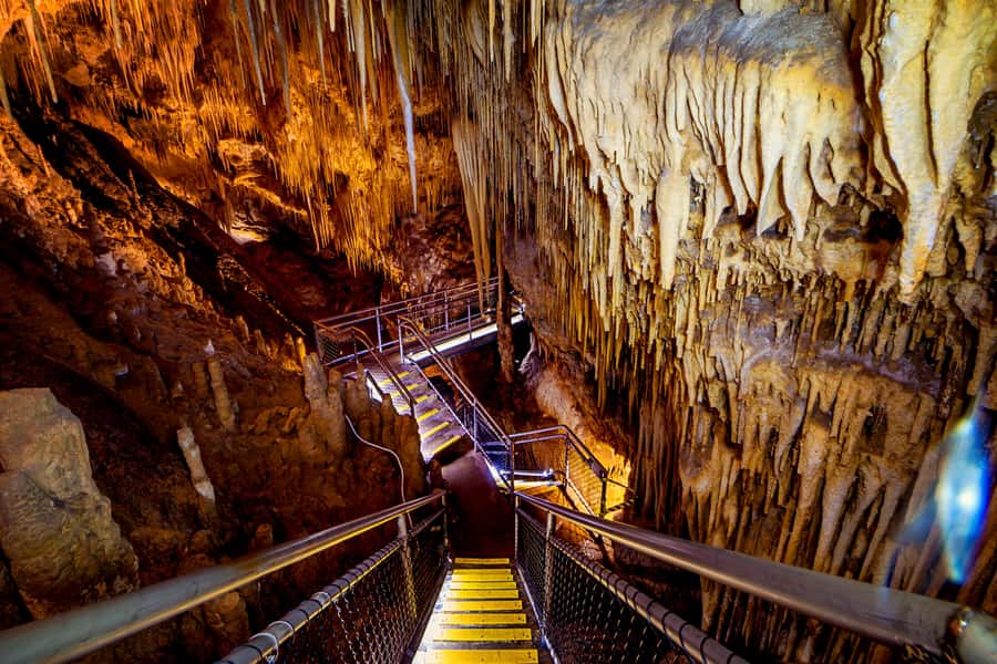 Hobart: Hastings Cave, Tahune Airwalk and Huon Tasting Trail - Two hours above and beside the Huon River at Tahune