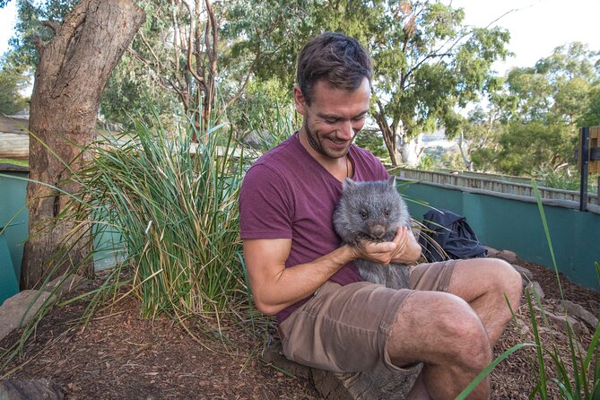Hobart Highlights Day Tour - Key points to know before booking