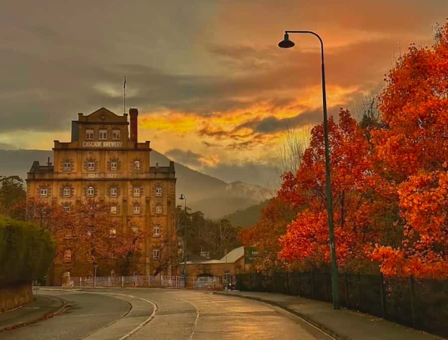 Hobart Highlights Day Tour - Should you book the Hobart Highlights Day Tour?
