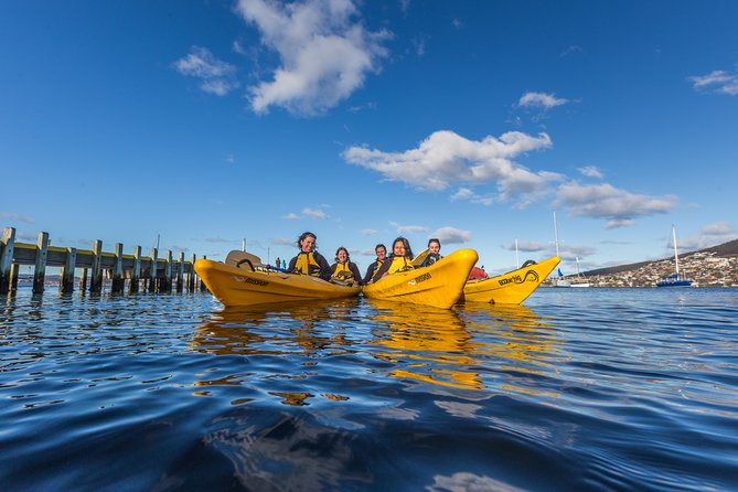 Hobart Kayak Tour - Key points to know before you book