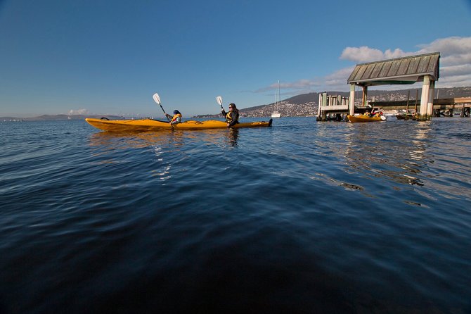 Hobart Kayak Tour - The fish-and-chips stop is the memorable touch