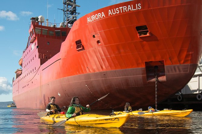 Hobart Kayak Tour - Who will get the most from this tour