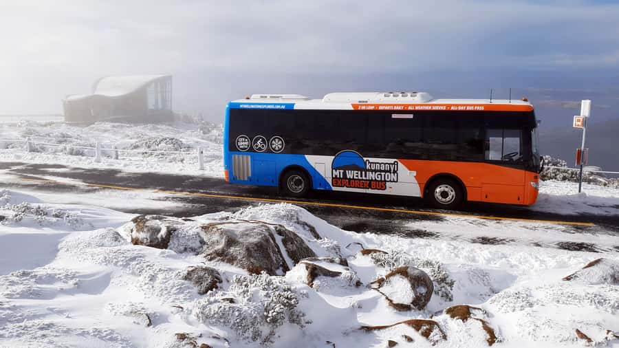 Hobart: kunanyi/Mt Wellington Explorer Bus Pass - Is $35 a fair price?
