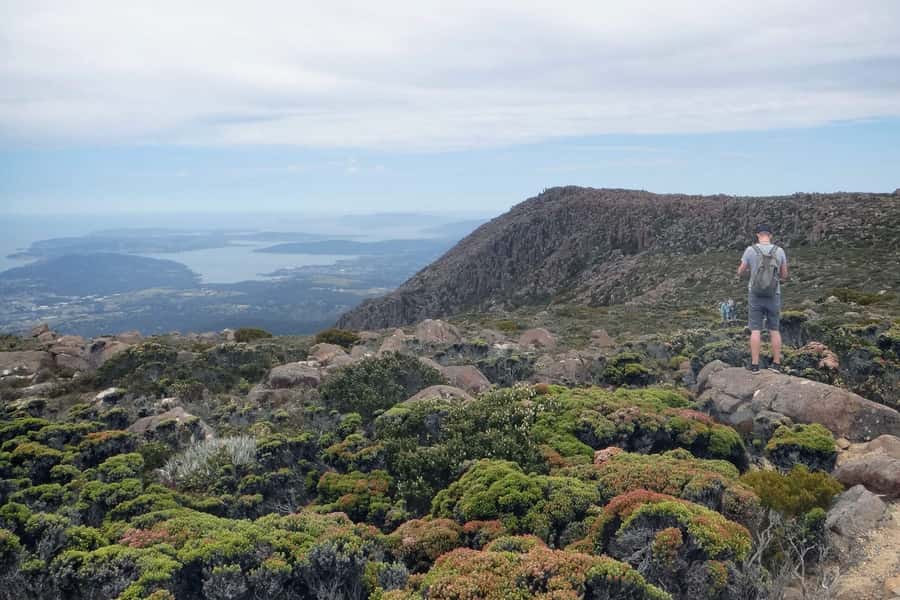 Hobart: kunanyi/Mt Wellington Explorer Bus Pass - Fern Tree: the first gateway to the mountain