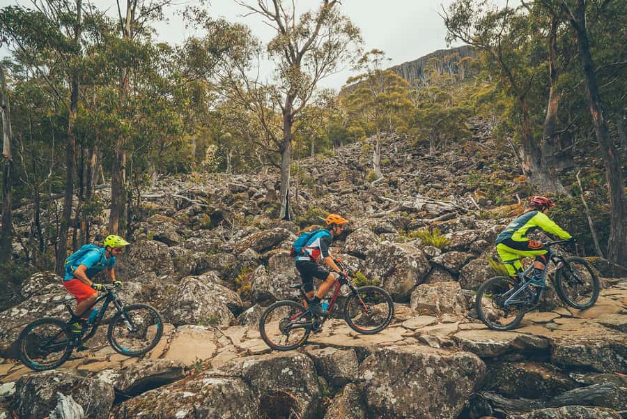 Hobart: kunanyi/Mt Wellington Explorer Bus Pass - Commentary from Paul, Tony, Greg, and the other drivers
