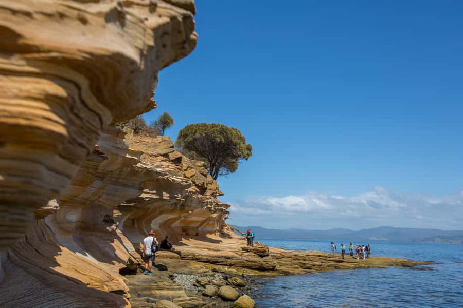 Hobart: Maria Island National Park Active Full-Day Tour - Key points to know before booking